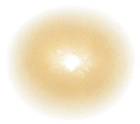 HO-5149Blond