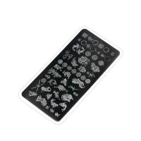 Emi ACCSP1